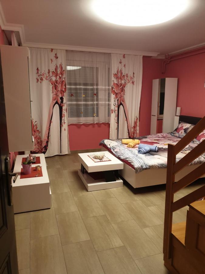 Ferienwohnung Kolibri 2 Vendeghaz Mórahalom Exterior foto